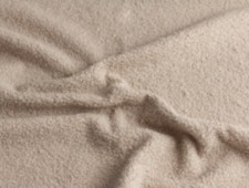 Teddy Beige